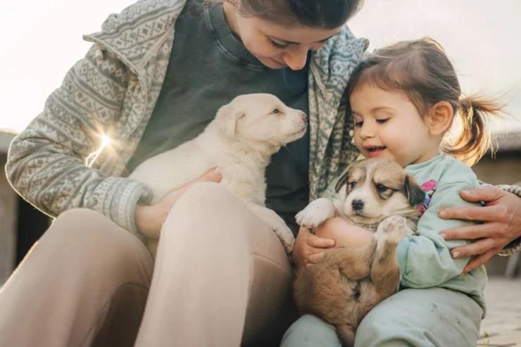 Bebés e nenos / Arquivo