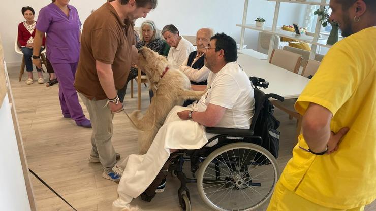 Iniciativa con cans nunha residencia de maiores 