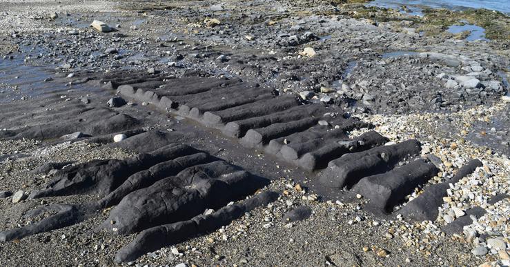 Turbeira con útiles líticos atopada na praia de San Miguel de Reinante, en Barreiros / Mariña Patrimonio