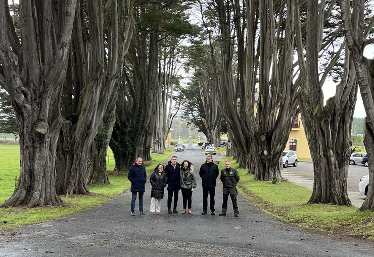 Nova formación de árbores singulares en Ribadeo.. XUNTA / Europa Press