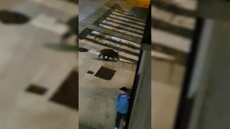 Un xabaril entre as rúas Castrón Douro e Curros Enríquez, en Santiago 