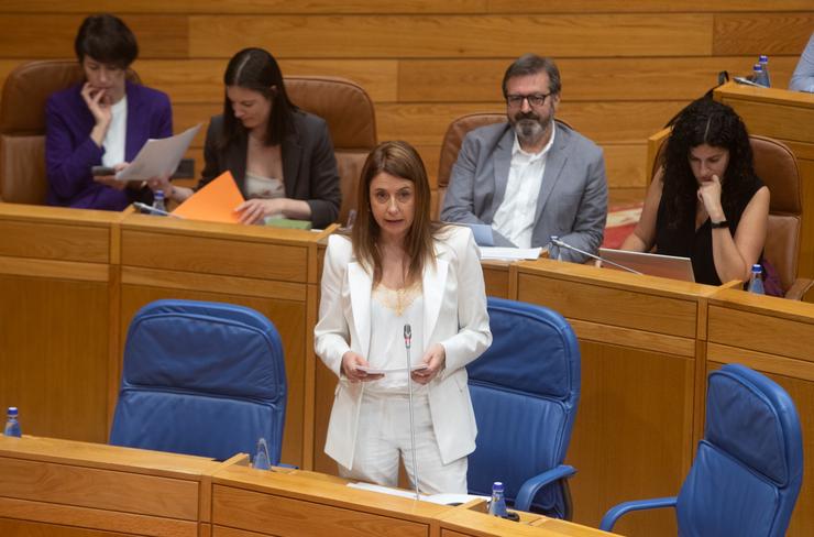 A conselleira de Medio Rural, María José Gómez, no pleno do Parlamento de Galicia 