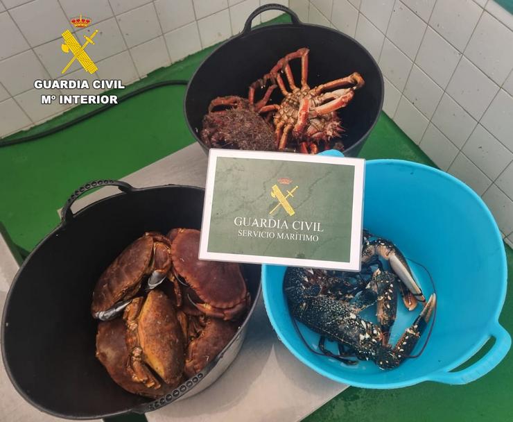 Marisco extraido ilegalmente e intervido pola Garda Civil en Laxe (A Coruña).. GARDA CIVIL