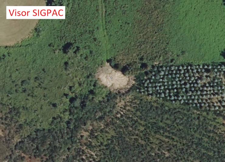 Así quedou a mámoa da Medorra da Seara do Campelín en Navia de Suarna tras remover terras na súa contorna / Mariña Patrimonio 