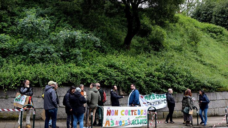 Unha concentración de veciños impide a talla de árbores na rúa Falperra de Vigo, a 2 de maio de 2024 / BNG