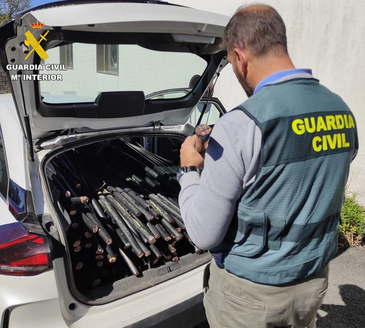 Detidos 10 homes como presuntos autores de 13 delitos de roubo, 1 delito de estragos, 1 delito de pertenza a grupo criminal /GARDA CIVIL - Europa Press