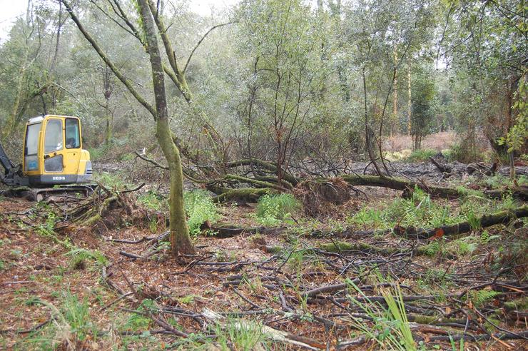 Obras no nacemento do río Lagares, polas que a Xunta sancionou con 98.500 euros á Comunidade de Montes de Cabral. AVEECA - Arquivo / Europa Press
