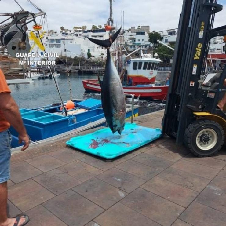 Pesca de atún sen autorización. GARDA CIVIL / Europa Press