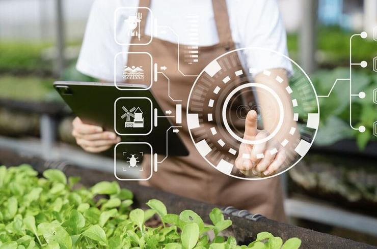 Intelixencia Artificial na alimentación 