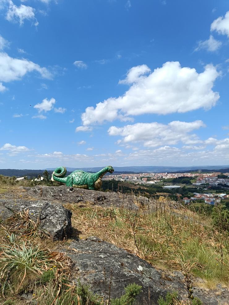 A Coca coas vistas no Monte Viso/ Elena González - Galicia Confidencial