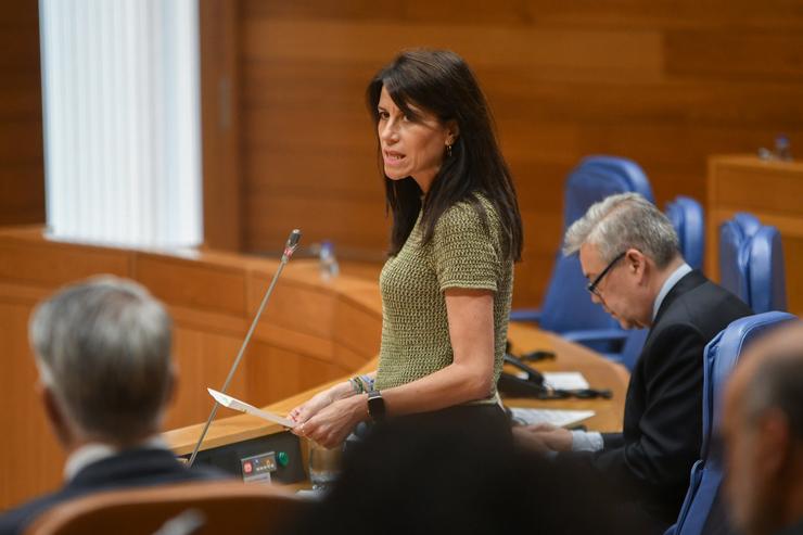 Imaxe da conselleira Martínez Allegue este mércores no pleno.. XUNTA / Europa Press