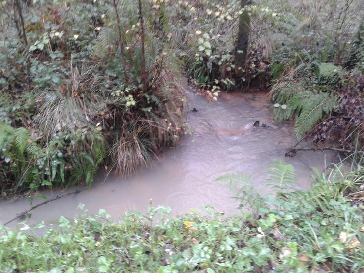 Verteduras no río Pucheiras, na contorna da Mina de Touro-O Pino (A Coruña). ECOLOXISTAS EN ACCIÓN