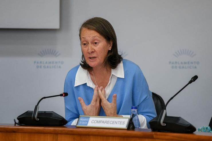 A directora xeral de Patrimonio Cultural, Mª da Carmen Martínez, en comisión parlamentaria. MONICA ARCAY CARRO / Europa Press