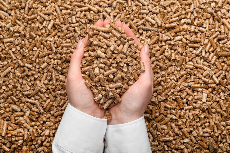 Pellets de madeira. LEONID IASTREMSKYI - Arquivo / Europa Press