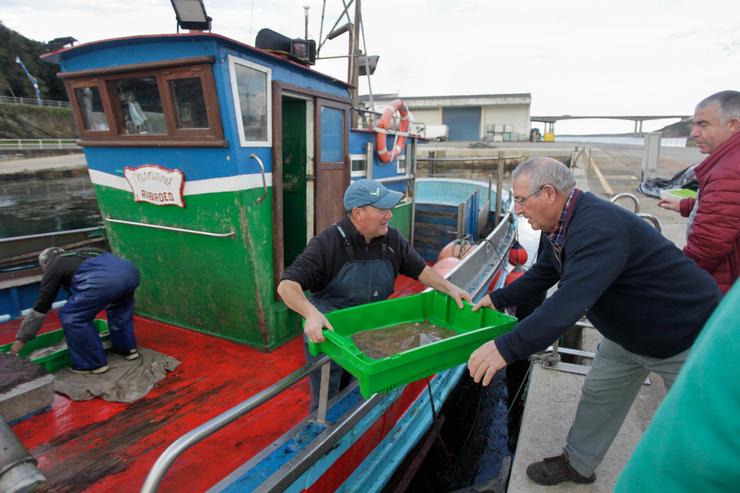 Arquivo - Pescadores descargan o seu barco no porto de Ribadeo, a 21 de decembro de 2022, en Ribadeo, Lugo, Galicia (España).  Este ano pasou polas rulas galegas a menor cantidade de peixe e marisco en case dúas décadas. Isto indica que as capt. Carlos Castro - Europa Press - Arquivo / Europa Press