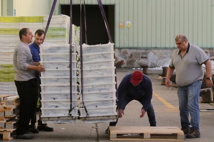 Arquivo - Operarios no Porto de Burela (Lugo). Carlos Castro - Europa Press - Arquivo / Europa Press