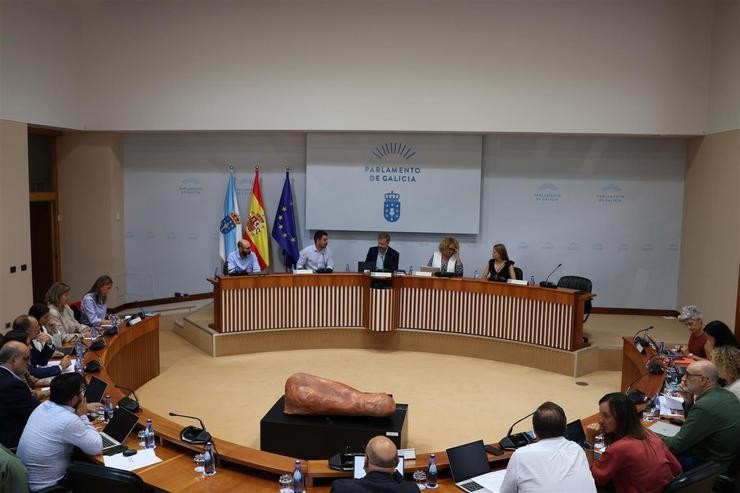 Comisión 4ª, de Educación e Cultura, do Parlamento galego.. PARLAMENTO DE GALICIA / Europa Press