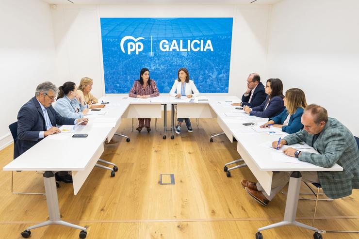 Reunión da conselleira de Medio Ambiente e Cambio Climático, Ángeles Vázquez, con senadores e deputados dos populares galegos / PPDEG