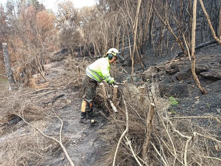 Actuacións de restauración hidrolóxico-forestal en Ourense tras os incendios. CHD 