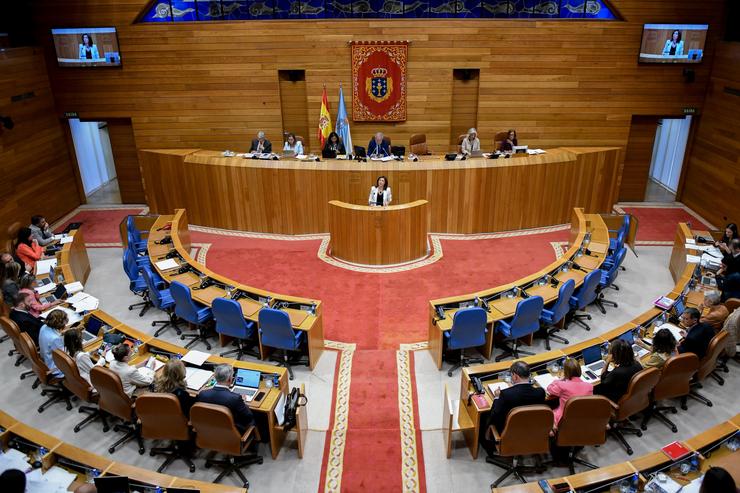 A conselleira de Medio Ambiente e Cambio Climático, Ángeles Vázquez, no Parlamento / XUNTA