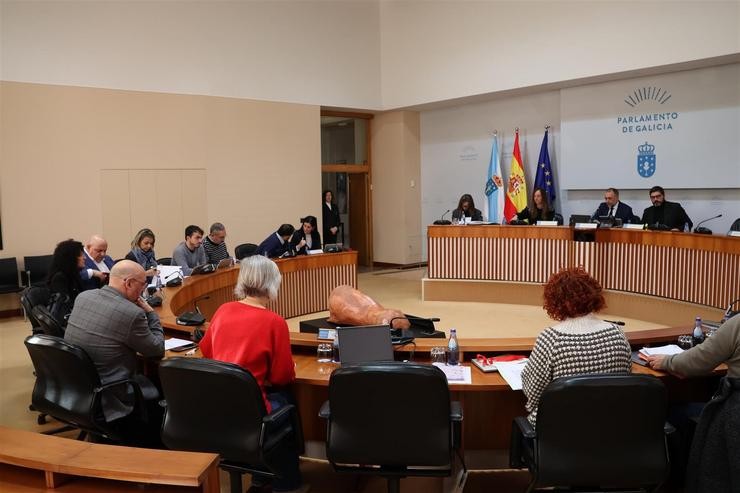 Comisión 1ª de Parlamento de Galicia / PARLAMENTO DE GALICIA