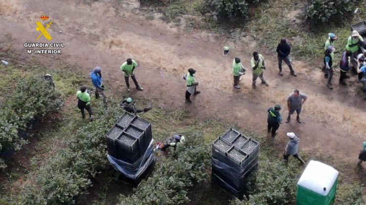 Inspección nunha explotación agrícola de Begonte (Lugo), onde se identificou a 82 temporeros estranxeiros en situación irregular. Hai tres persoas investigadas por un suposto delito contra os dereitos dos traballadores.. GARDA CIVIL