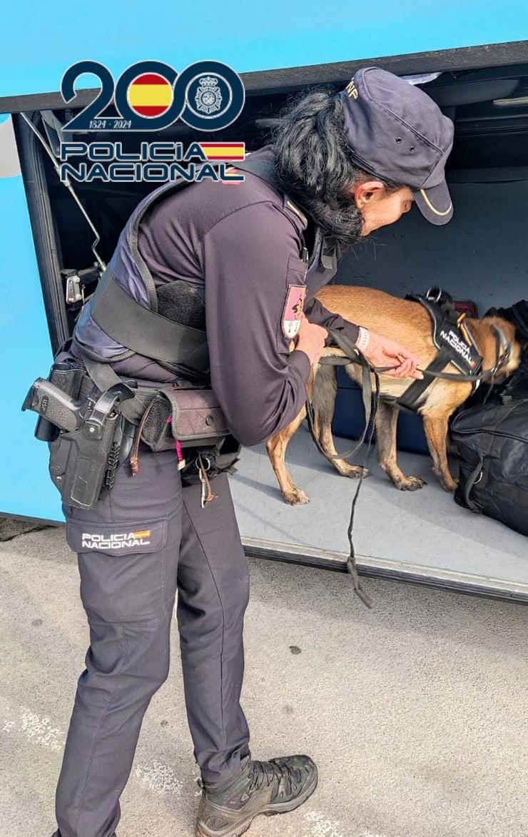 Can policía vixía o arcón dun autobús. POLICÍA NACIONAL / Europa Press