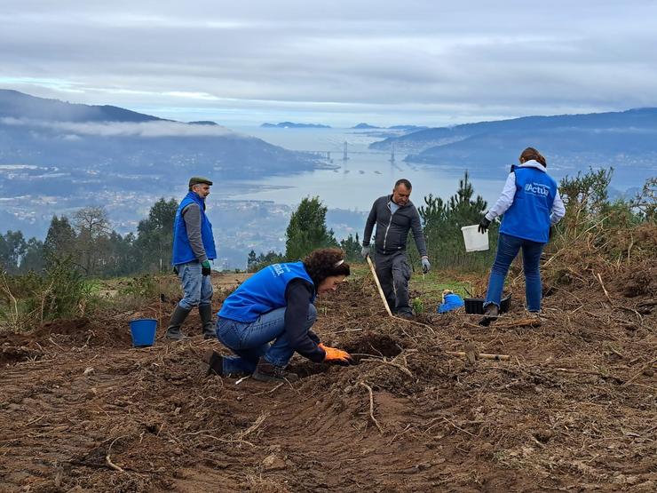 Voluntarios de Afundación plantan frondosas en Ou Viso, en Redondela (Pontevedra). AFUNDACIÓN / Europa Press