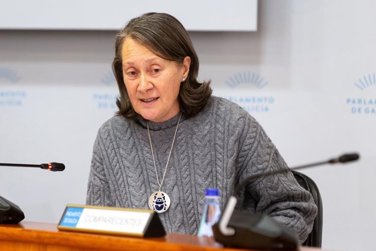 A directora xeral de Patrimonio Cultural, Mª da Carmen Martínez/ Europa Press