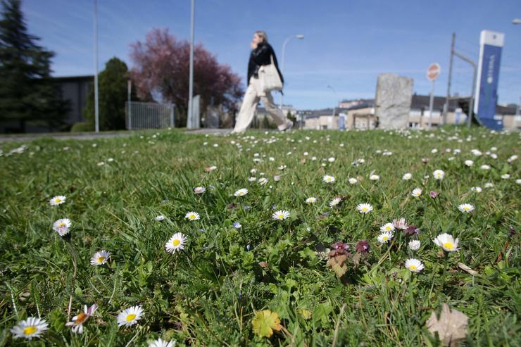 Unha moza camiña fronte a un campo cheo de margaridas o día que comeza  a primavera, no Campus da USC, a 20 de marzo de 2023, en Lugo / Carlos Castro - Arquivo