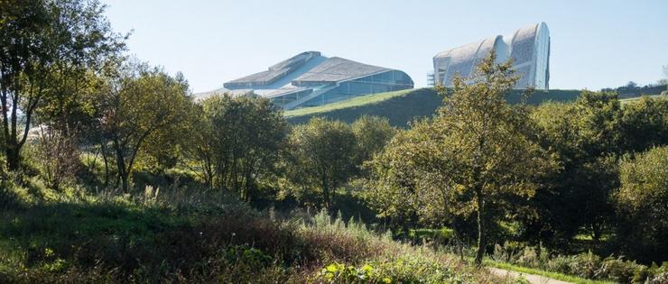 Bosque de Galicia, no monte Gaiás, da Cidade da Cultura. CIDADE DA CULTURA