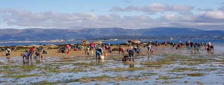 Mariscadoras a pé de Vilanova de Arousa 