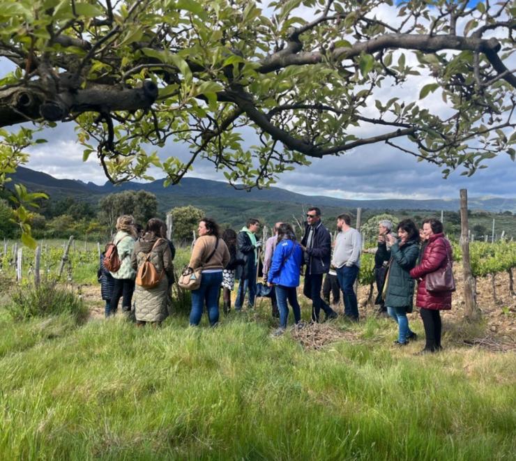 Visitando unha viña de Valdeorras. 
