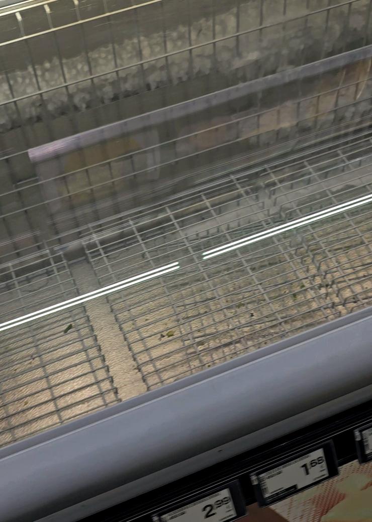 Neveira frigorífica baleira tralo gran apagamento nun supermercado dunha pequena vila de Galicia / GC