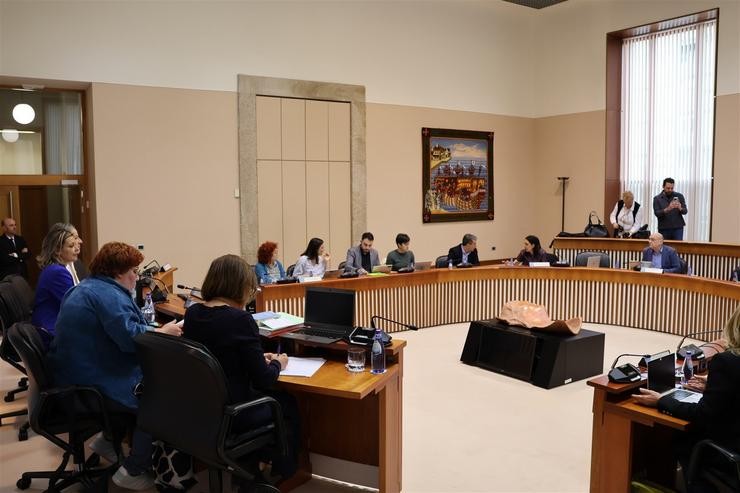 Comisión 5ª, de sanidade, política social e emprego do Parlamento galego / PARLAMENTO DE GALICIA