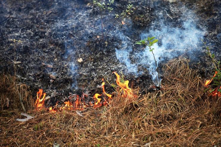 Queima forestal / XUNTA