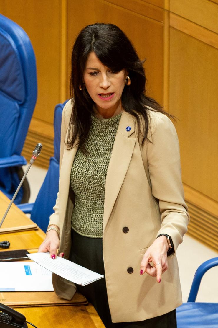 A conselleira de Vivenda e Planificación de Infraestruturas, María Martínez Allegue, nunha intervención no pleno do Parlamento de Galicia / XUNTA