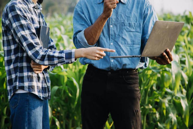 Emprendemento rural 