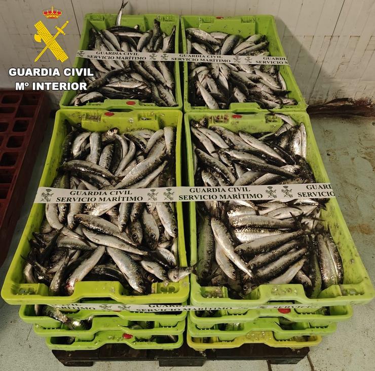 A Garda Civil incáutase de máis de 200 quilos de sardiña procedentes do porto de Corcubión, e que non foran declarados nos albaranes do camión que transportaba o peixe 