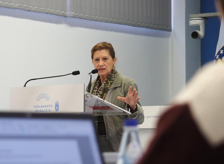 A portavoz de Sanidade do Grupo Socialista, Elena Espinosa 