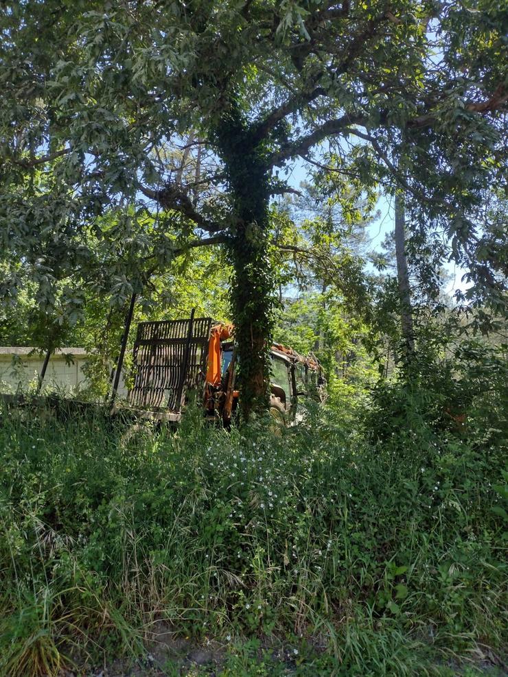 Falece un operario en Outes tras caerlle encima a árbore que tallaba 