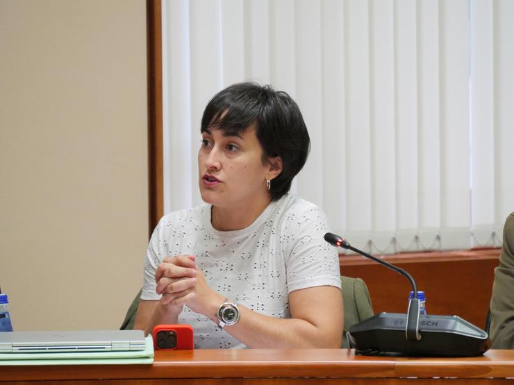 A deputada e responsable de Infancia do BNG, Ariadna Fernández.. BNG 