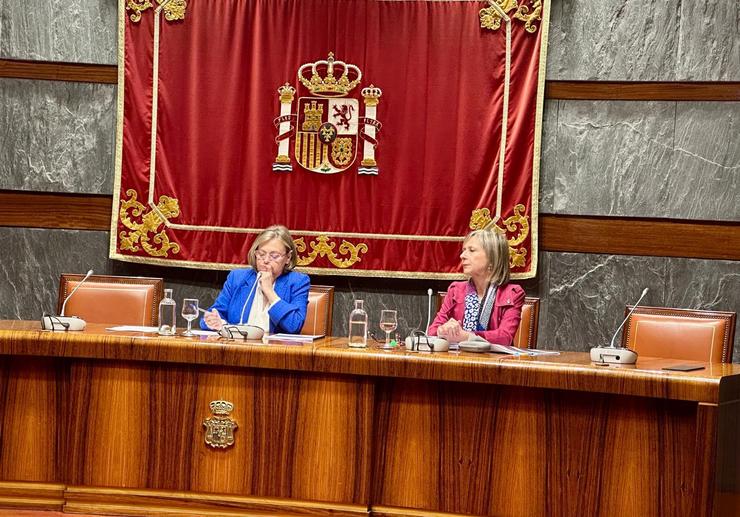 Presentación do Informe sobre vítimas mortais da violencia de xénero e doméstica no ámbito da parella ou exparella, do Observatorio do Consello Xeral do Poder Xudicial (CGPJ) 