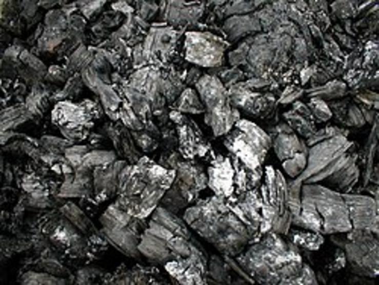 Carbón vexetal 