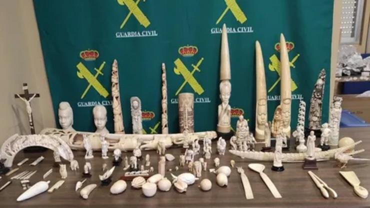 Pezas de marfil incautadas en Galicia 