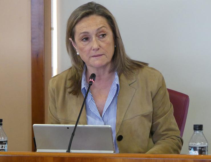 Luisa Sánchez / PP DE VIGO