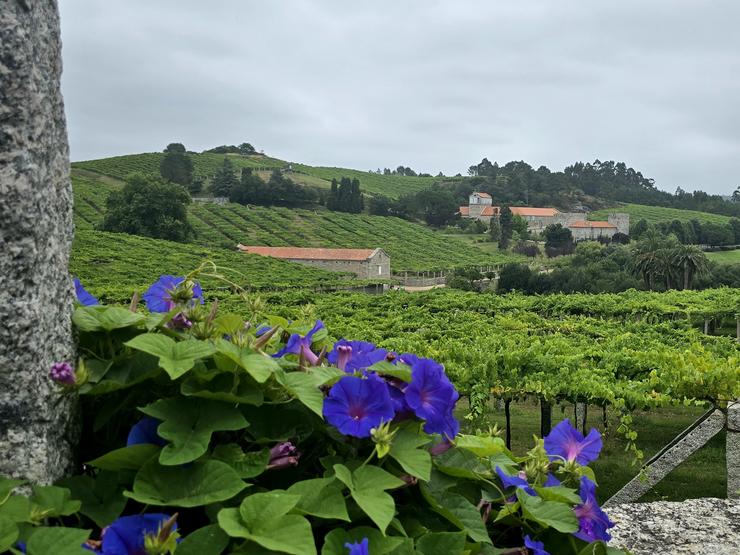 Pazo Baión / GC