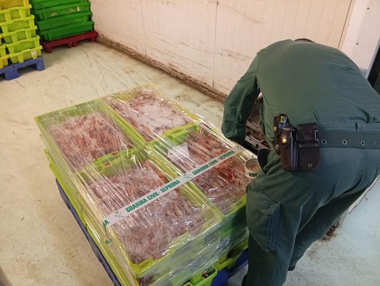 Interceptados máis de 280 quilos de lagostinos sen documentación nunha furgoneta que viaxaba ata A Coruña desde Cantabria.. GARDA CIVIL / Europa Press