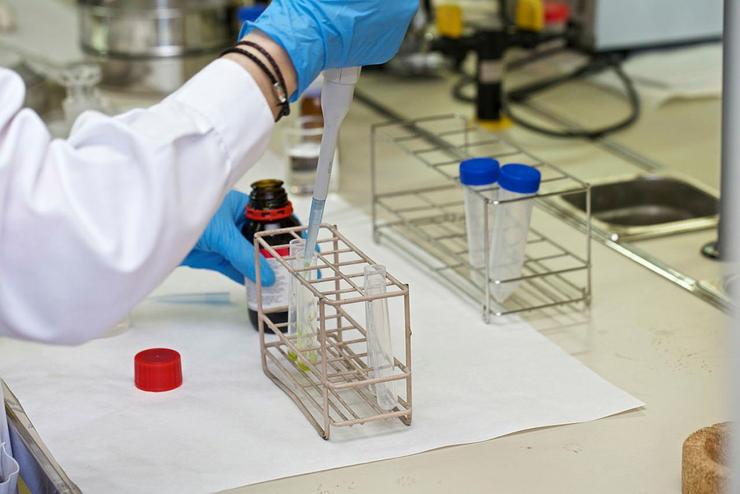 Arquivo - Investigación nun laboratorio, nunha imaxe de arquivo.. UNIVERSIDADE DE ALACANTE (UA) - Arquivo / Europa Press