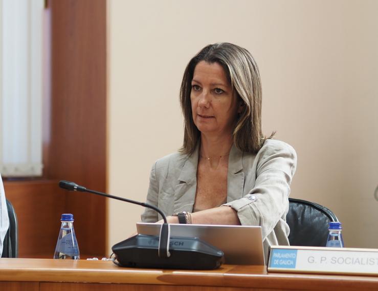 A viceportavoz segunda do Grupo Socialista, Lara Méndez / PSDEG